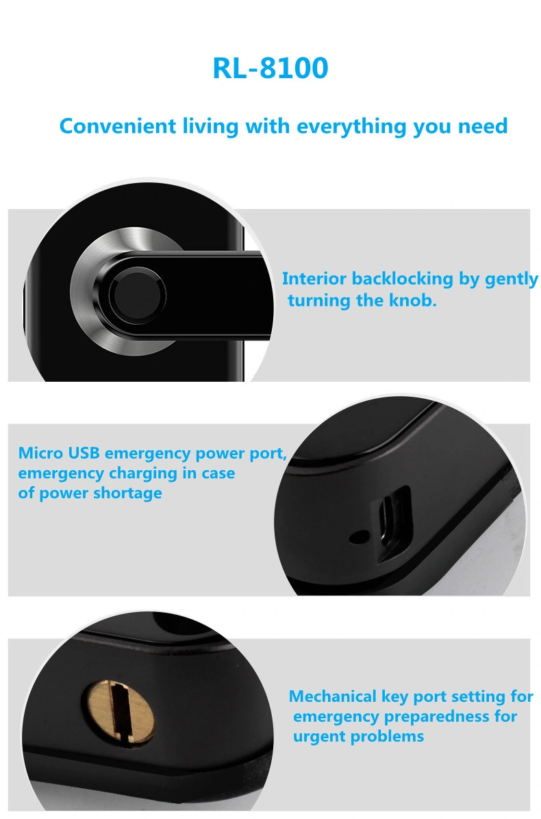 Biometric Fingerprint Passcode RFID Door Handle Lock Waterproof Double Side Door Lock